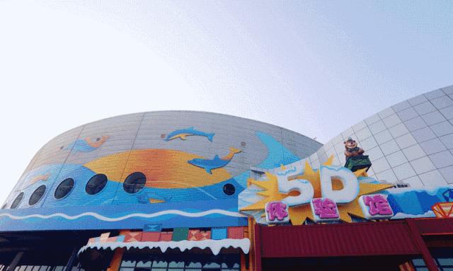 青島極地海洋館，探索神秘海洋的絕佳之地，青島極地海洋館，神秘海洋探索之旅的絕佳之地