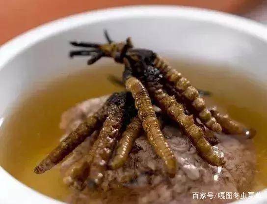 蟲草的最佳吃法，蟲草的最佳食用方法