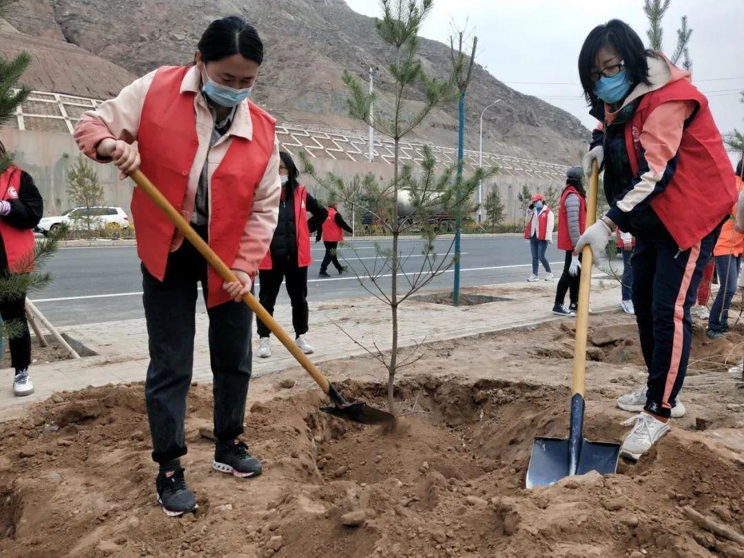 天下彩天天空彩資料免費大全管家，探索與解析，天下彩天天空彩資料大全管家，深度探索與解析