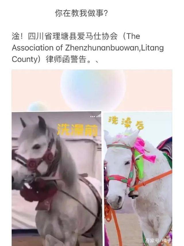 一馬爆特圖，揭秘背后的故事與SEO優(yōu)化策略，揭秘一馬爆特圖的背后故事與SEO優(yōu)化策略全攻略