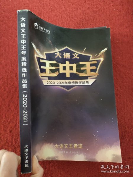 揭秘2021王中王資料一肖中v，深度解析與前瞻，揭秘與深度解析，王中王資料一肖中v的前瞻報告（2021版）