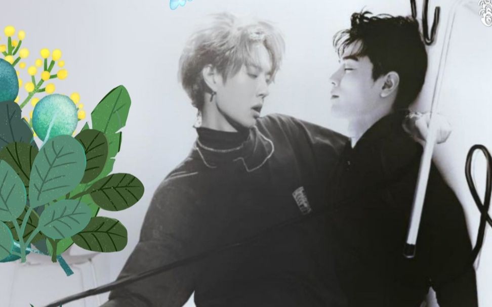 關(guān)于白小王中王一肖中特的SEO文章，王一肖SEO秘籍，白小王中王的關(guān)鍵優(yōu)化策略