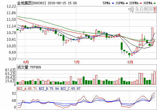 關于600383的最新消息全面解析，600383最新消息全面解析