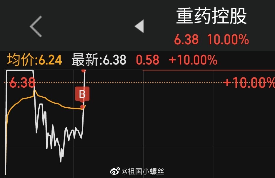 重藥控股股票，投資前景深度解析，重藥控股股票投資前景深度剖析