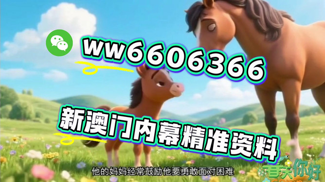 澳門十二生肖圖片大全，迎接嶄新的2025年，澳門十二生肖圖片大全迎新春2025年