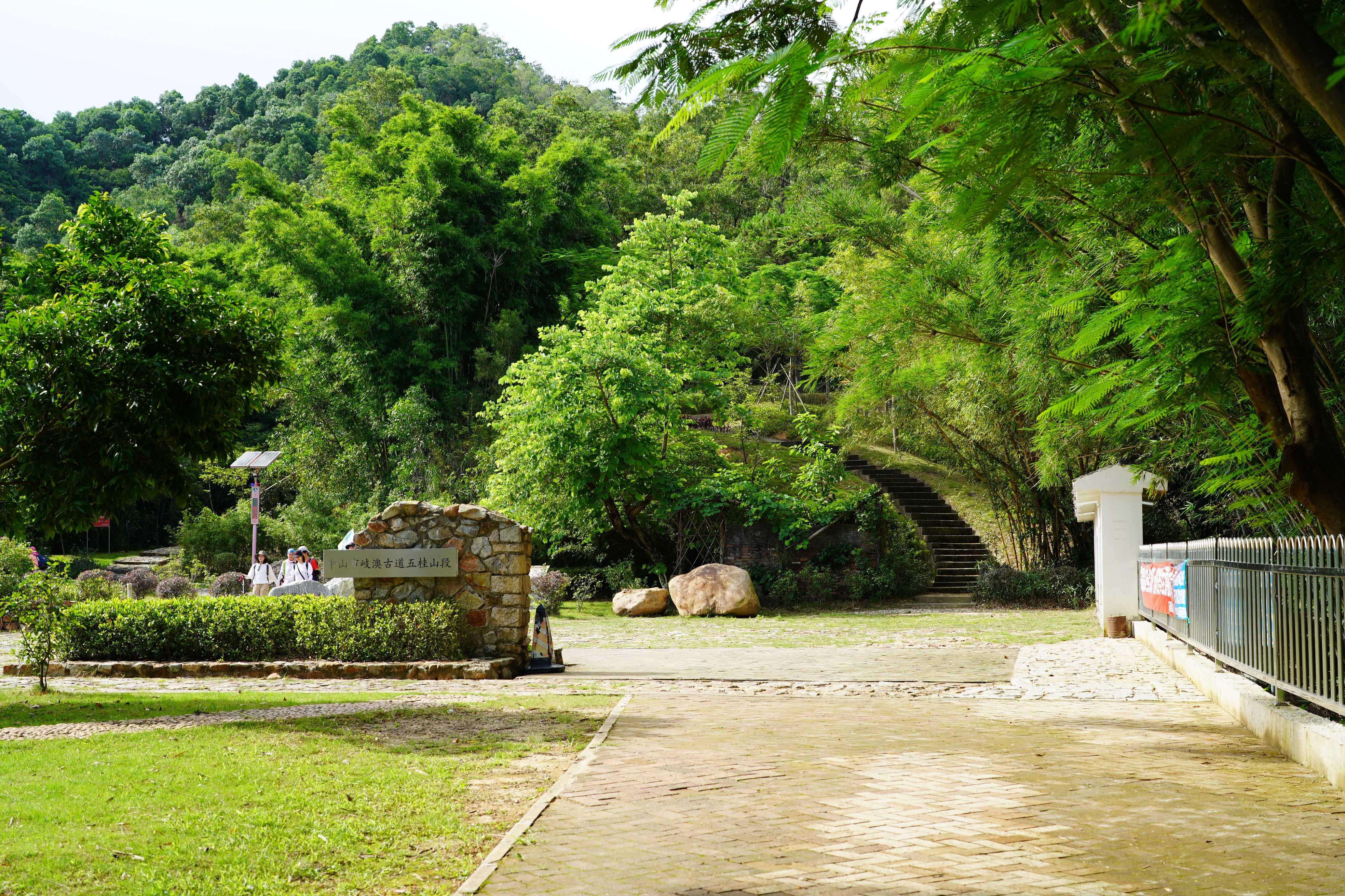 新奧門(mén)彩出號(hào)綜合走勢(shì)分析，新奧門(mén)彩出號(hào)綜合走勢(shì)解析