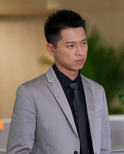 王雷主演的電視劇大全最新，精彩紛呈的角色演繹與劇情回顧，王雷主演電視劇大全，精彩角色演繹與劇情回顧