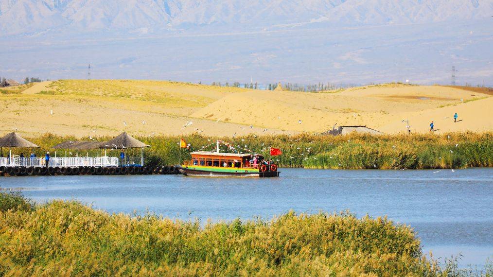 寧夏沙湖旅游景點介紹，寧夏沙湖旅游勝地探秘，景點詳解