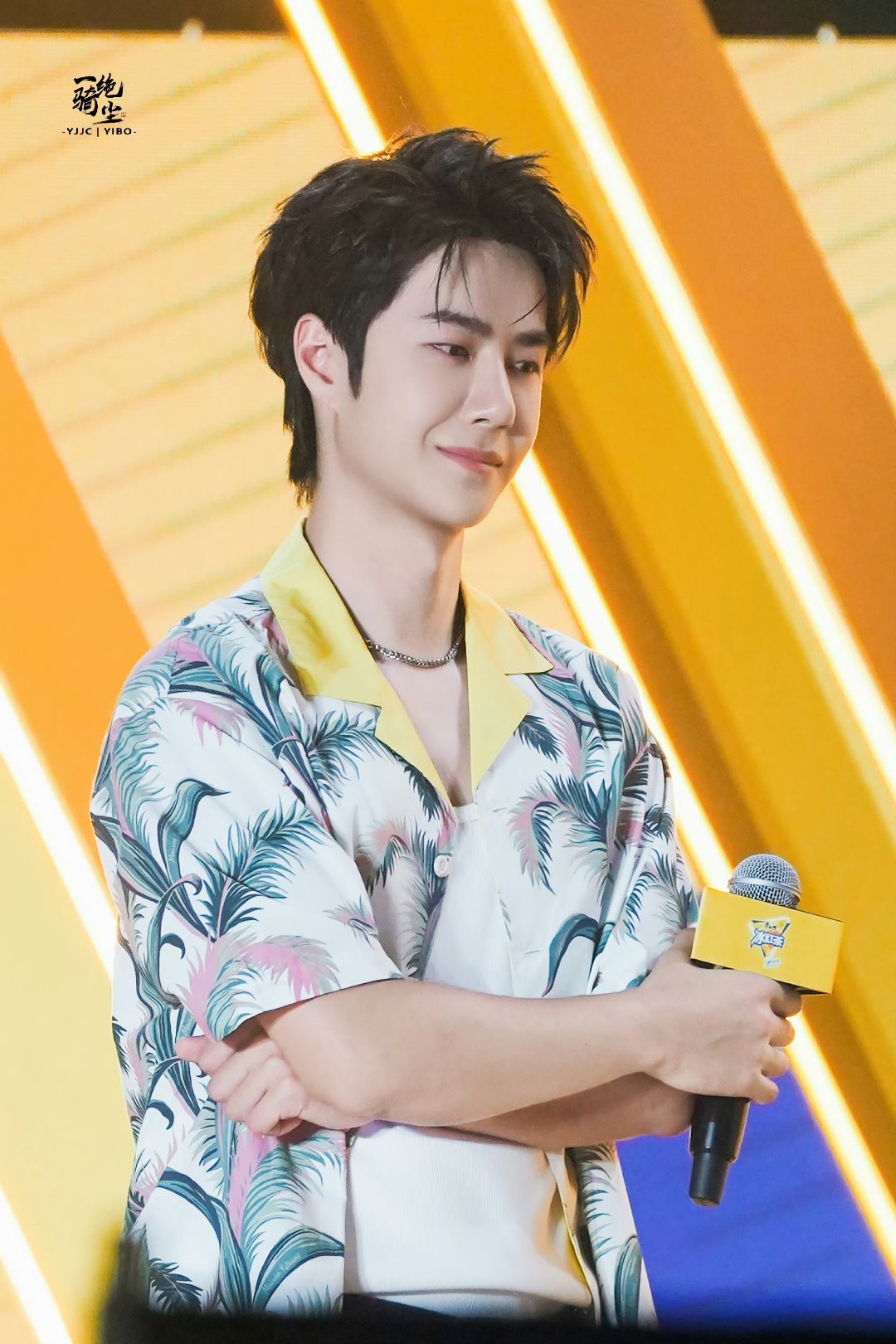 王中王一肖中特家婆，深度解讀背后的故事與奧秘，王中王一肖背后的故事與奧秘深度解讀