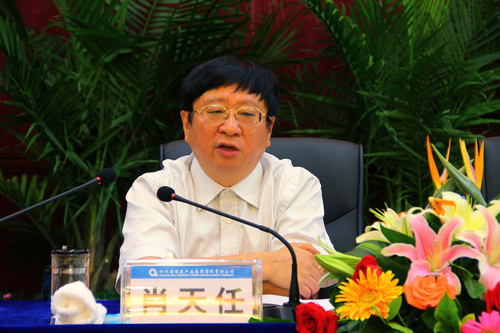 王中王資科一肖中持天，深度解析與SEO優(yōu)化策略，王中王資科一肖中持天深度解析與SEO優(yōu)化策略探討