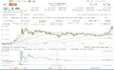 探索股市新星，600221股吧的獨(dú)特魅力與投資機(jī)會(huì)，揭秘股市新星，探索600221股吧的獨(dú)特魅力和投資機(jī)會(huì)