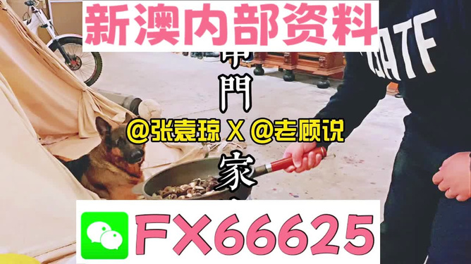 澳門正版管家婆資料大全，全面解析與深度探索，澳門正版管家婆資料大全，全面解析與深度探索之旅