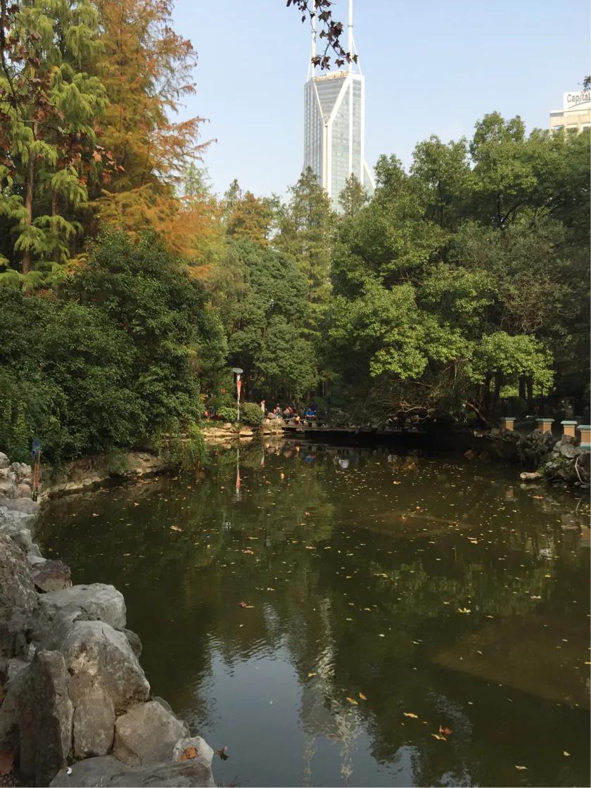 上海36個免費公園一覽，上海免費公園全景導(dǎo)覽，36個公園一覽無余