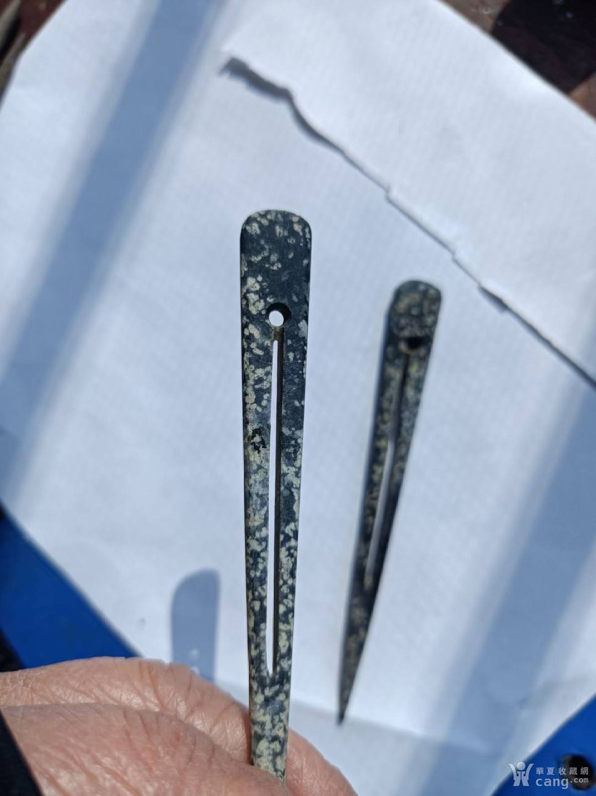 鐵笄盤王中王，一肖中特——揭秘背后的秘密，揭秘鐵笄盤王中王與一肖中特背后的秘密