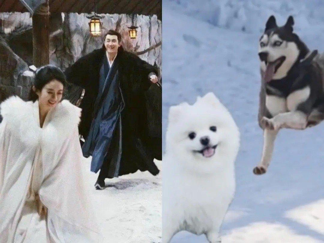 林更新趙麗穎，星光熠熠，共譜影視傳奇，林更新趙麗穎，星光熠熠，影視傳奇之戀