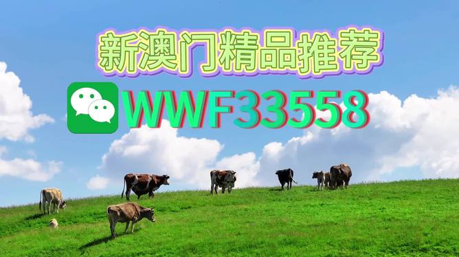 揭秘今晚9點(diǎn)30生肖運(yùn)勢，你的生肖運(yùn)勢如何？，揭秘今晚9點(diǎn)30生肖運(yùn)勢，你的生肖運(yùn)勢走向如何？