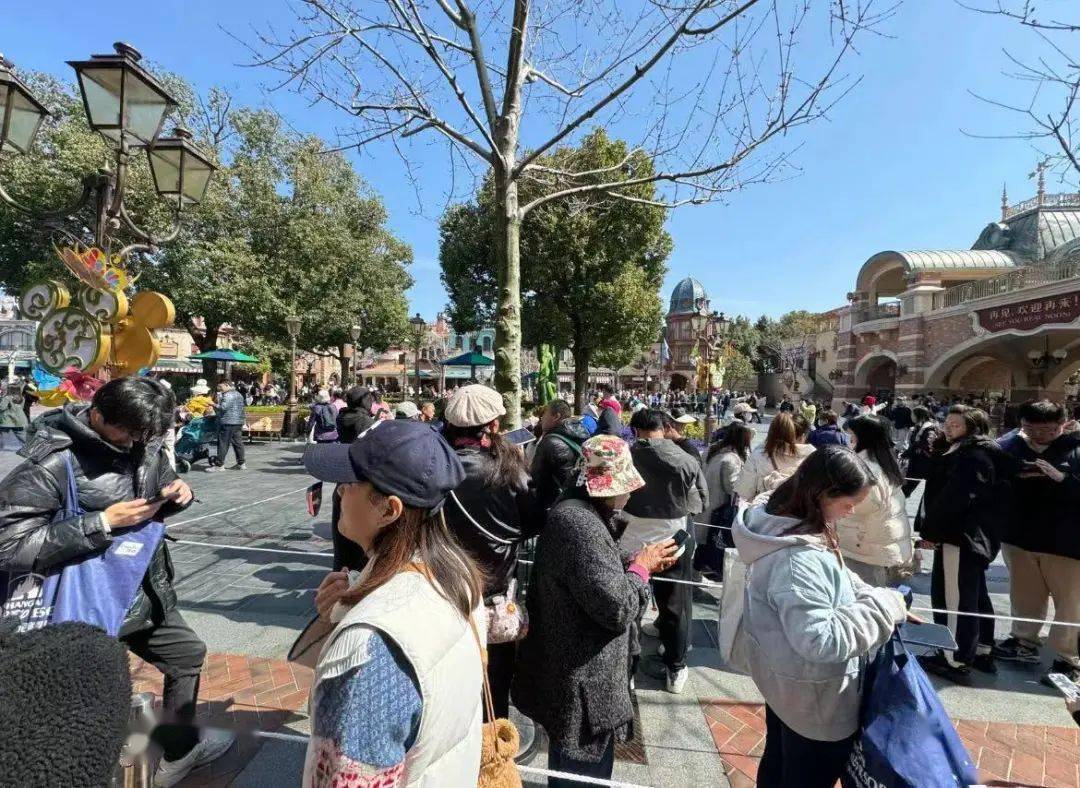 關(guān)于迪士尼上海倒閉的真相探討與深度解析，迪士尼上海倒閉真相深度探討與解析