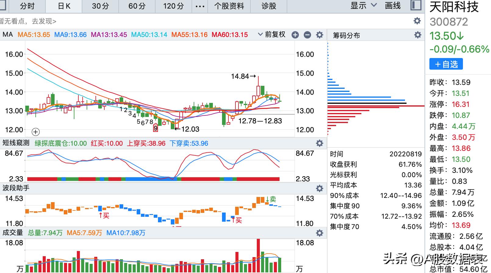 天陽科技股票，探索前沿科技，洞悉投資機遇，天陽科技股票，探索前沿科技，把握投資機遇