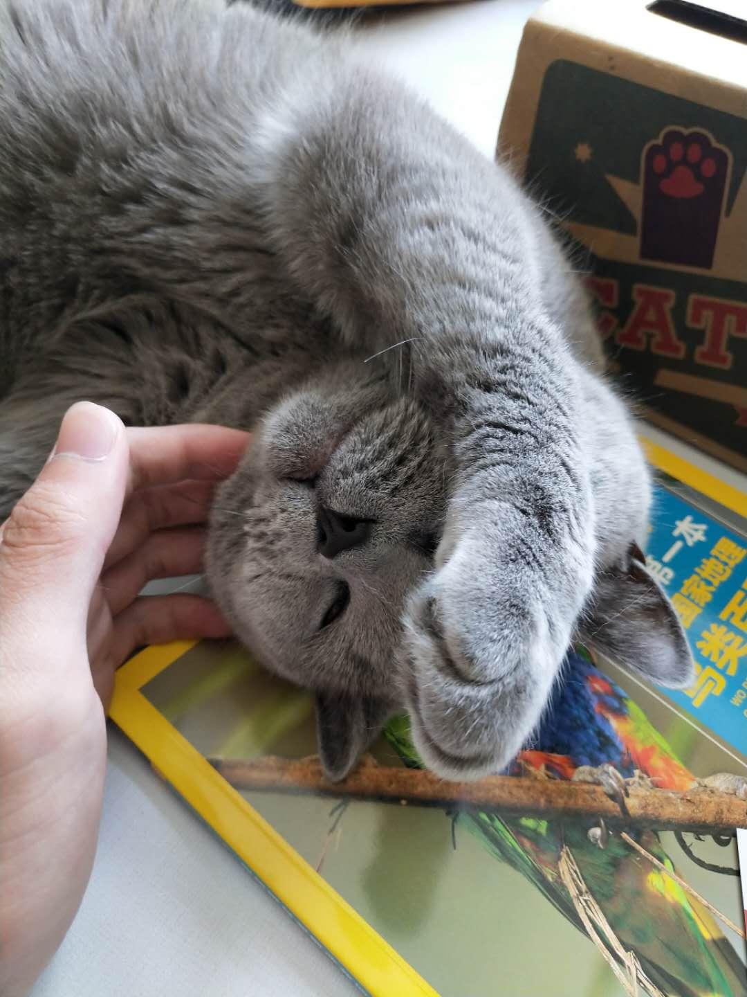 解決打呼嚕只需一杯水？真相揭秘與實用建議，解決打呼嚕只需一杯水？真相揭秘與實用方法總結(jié)