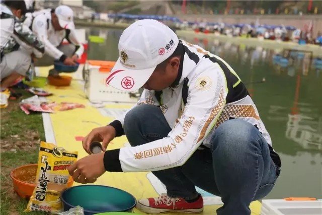 王中王高手論壇一肖中特，深度解析與探討，王中王高手論壇深度解析與探討一肖中特技巧