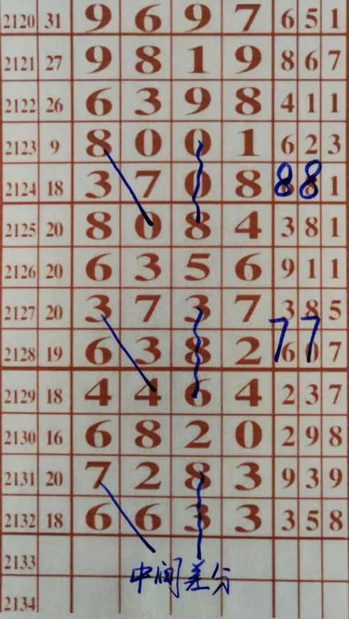 79期王中王三肖一碼，深度解析與SEO優(yōu)化策略，79期王中王三肖一碼深度解析與SEO策略全解析