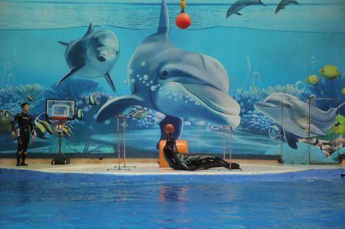 南京海底世界游玩攻略，探索奇妙海洋，了解逛完所需時間，南京海底世界游玩攻略，探索奇妙海洋之旅及所需時間揭秘