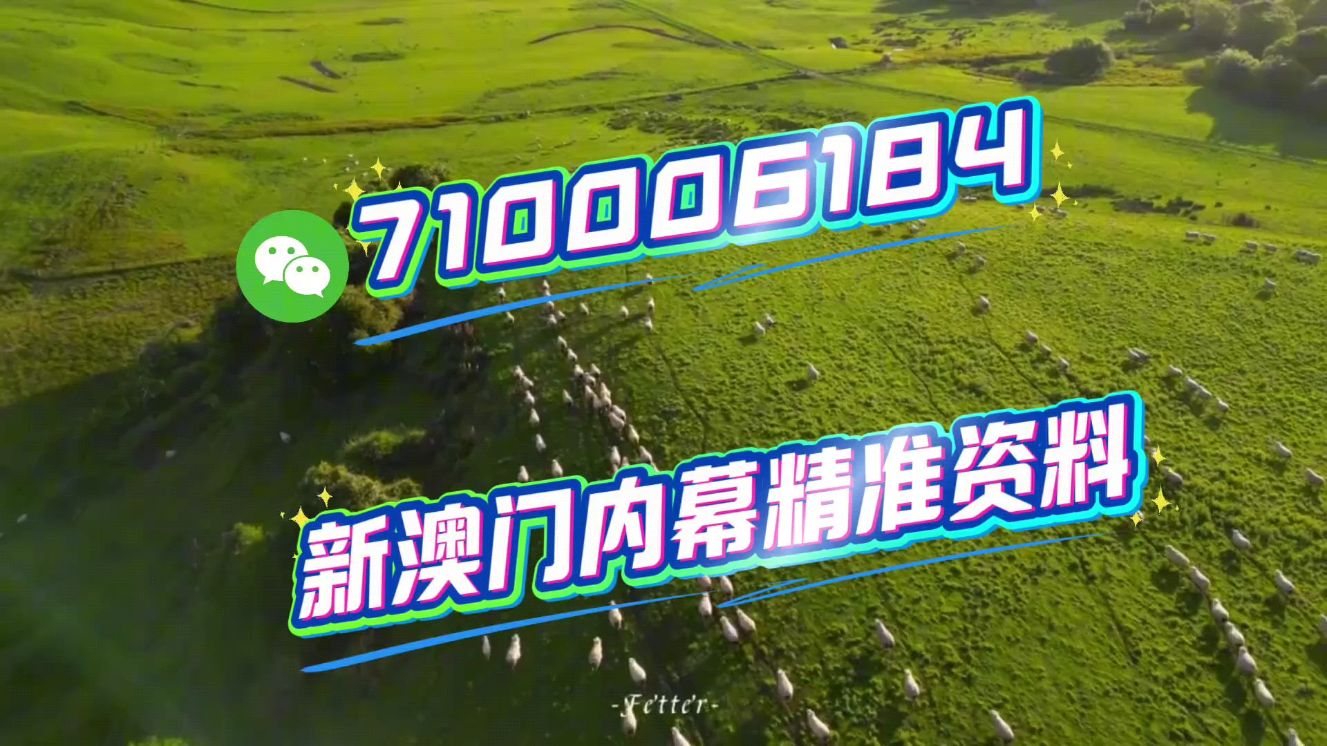 關(guān)于澳門今晚特馬生肖的預(yù)測與探討——以2025年為視角，澳門生肖預(yù)測，以2025年為視角探討今晚特馬生肖預(yù)測