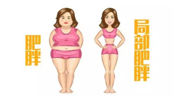 抽全身脂肪的價(jià)格因素與全面解析，全身脂肪抽取價(jià)格因素解析及全面解讀