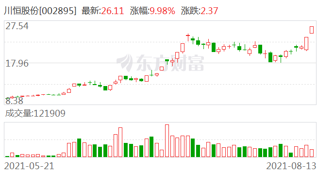 川恒股份股票，深度解析與發(fā)展前景展望，川恒股份股票深度解析與未來展望