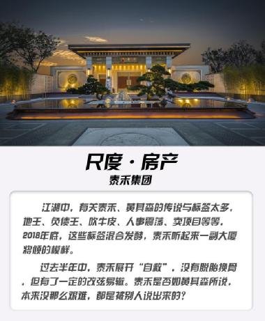 泰禾集團(tuán)股吧，深度解析與前景展望，泰禾集團(tuán)股吧，深度解析及前景展望