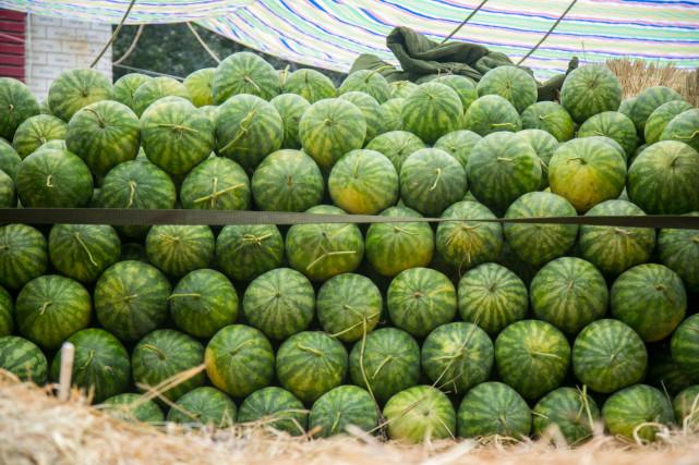 澳門一碼一肖預(yù)測，揭秘真相與風(fēng)險應(yīng)對，澳門一碼一肖預(yù)測揭秘，真相探索與風(fēng)險應(yīng)對策略