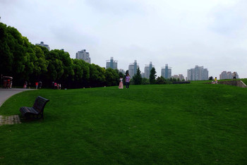 上海世紀(jì)公園是否需要門票？全面解析入園政策，上海世紀(jì)公園入園政策解析，門票需求與規(guī)定