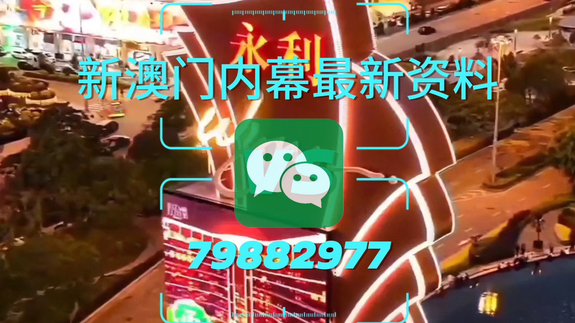 新澳門一肖一特一中，探索與解析，新澳門一肖一特一中，深度探索與解析