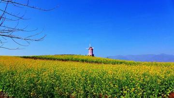 漢中一日游最佳景點(diǎn)全攻略，漢中一日游必游景點(diǎn)攻略大全