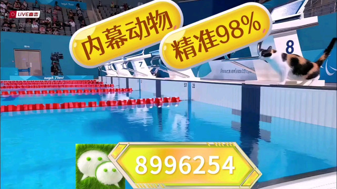 澳門彩票王中王開獎結(jié)果，探索未來的預(yù)測與策略（2025年展望），澳門彩票王中王開獎結(jié)果展望，未來預(yù)測與策略（2025年展望）