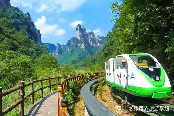 張家界森林公園一日游攻略，探索自然之美的完美行程，張家界森林公園一日游攻略，自然之美的完美探索之旅