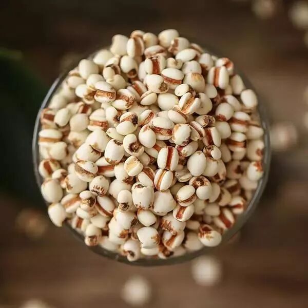 薏米，一種健康寶藏的神奇谷物，薏米，健康寶藏的神奇谷物
