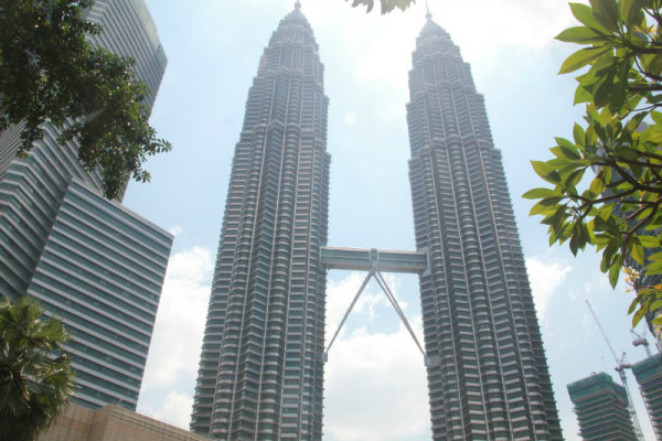 新澳門(mén)一肖的奧秘與探索，揭秘生肖運(yùn)勢(shì)的魅力，揭秘新澳門(mén)生肖奧秘與運(yùn)勢(shì)魅力探索之旅