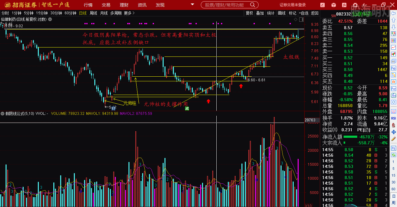 仙琚制藥股票（代碼，002332）深度解析，仙琚制藥股票深度解析（代碼，002332）