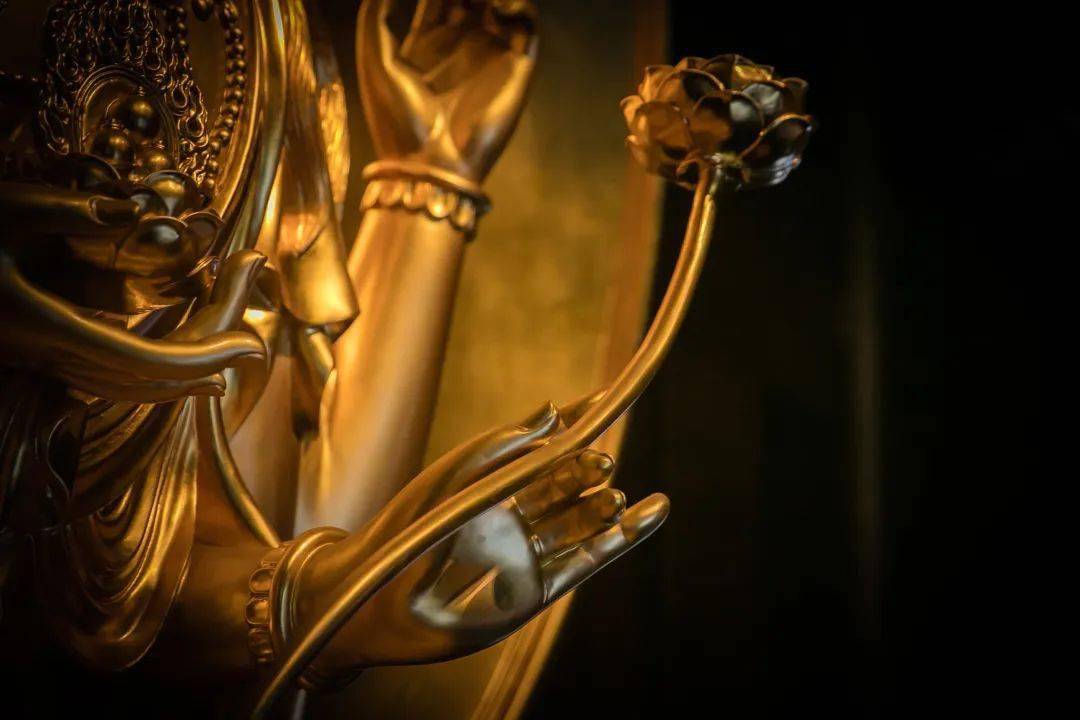 探索欲佛H的世界，神秘魅力的深度解析，欲佛H的世界探索，神秘魅力的深度解讀