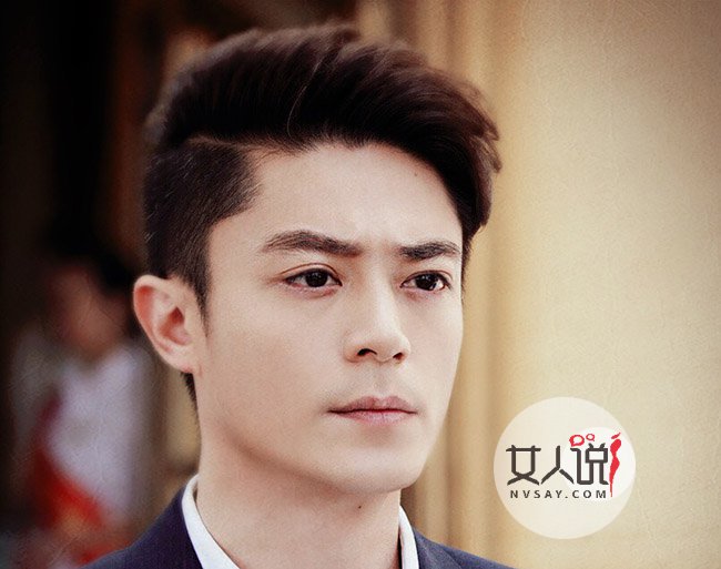 霍建華個(gè)人資料及年齡揭秘，霍建華個(gè)人資料、年齡大揭秘