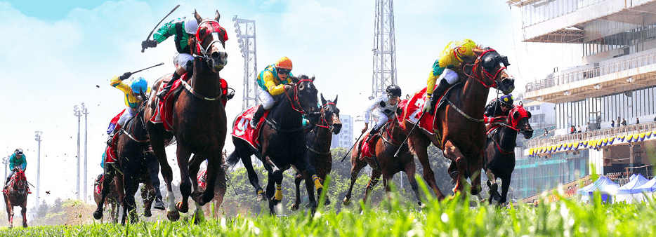 澳門(mén)賽馬會(huì)資料最準(zhǔn)一碼，深度解析與最新資訊，澳門(mén)賽馬會(huì)資料解析，最新一碼與深度資訊匯總