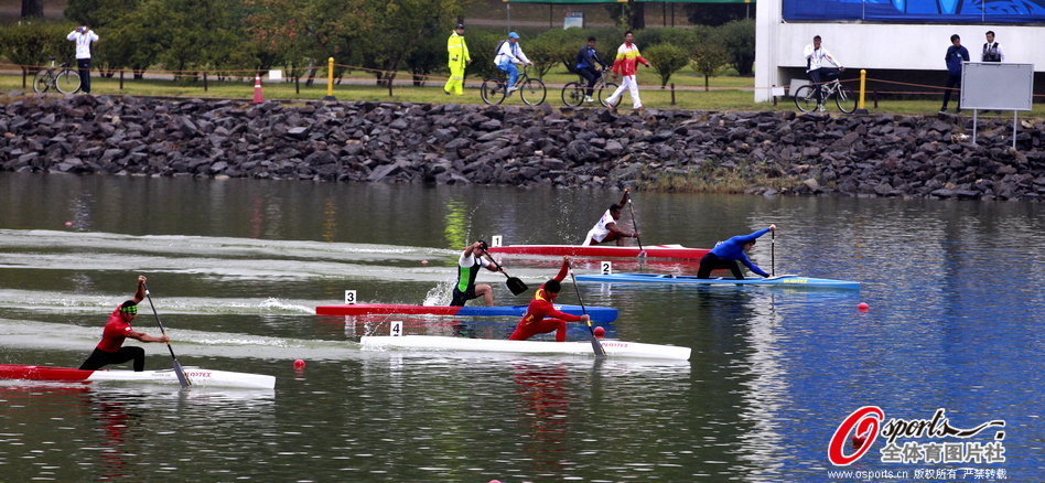 王中王一肖一馬期期中特，深度解析與SEO優(yōu)化策略，王中王一肖一馬期期中特深度解析與SEO優(yōu)化策略指南