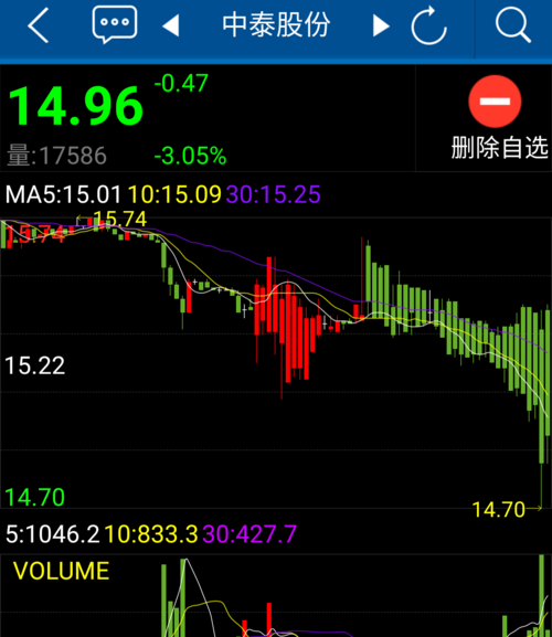 中泰股份股吧深度解析，投資潛力與未來發(fā)展展望，中泰股份股吧解析及投資潛力與未來發(fā)展展望