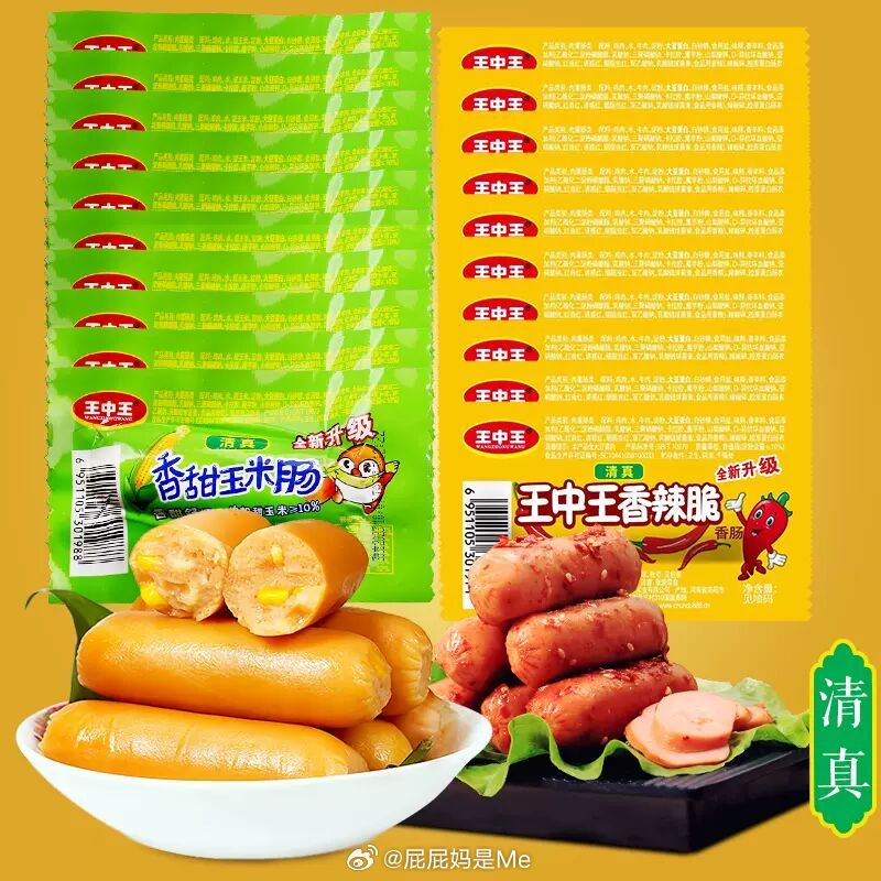 王中王一字折肖中特，探尋背后的奧秘與深意，王中王一字折肖奧秘揭秘，探尋背后的深意