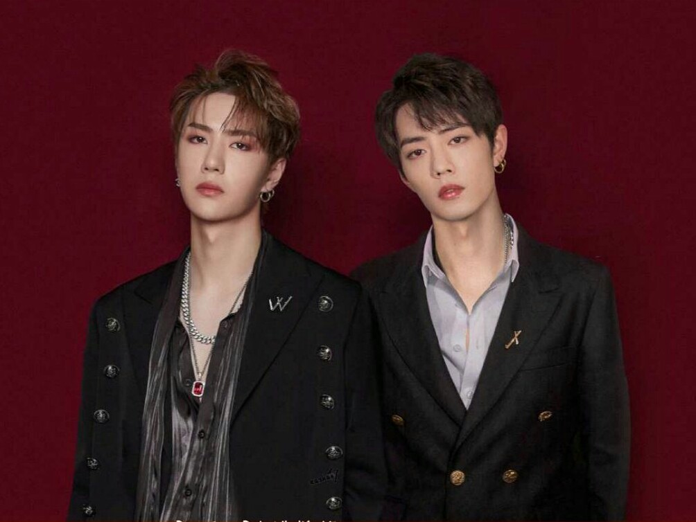 王中王一肖資料詳解，一探究竟的全方位解析，王中王一肖全方位深度解析，資料詳解與探究真相