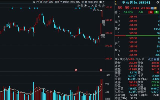 半導(dǎo)體龍頭股票，市場趨勢(shì)與投資前景分析，半導(dǎo)體龍頭股票投資前景及市場趨勢(shì)深度解析