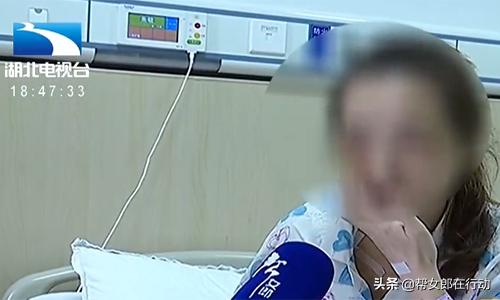 一肖中賠解析，深度探討背后的機制與策略，一肖中賠解析，深度探究機制與策略之道