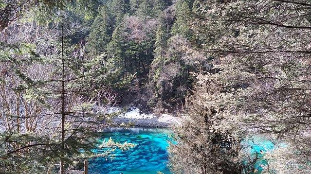 重慶到九寨溝跟團游價格全解析，重慶到九寨溝跟團游費用全面解析