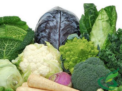 五種可止瀉的蔬菜，天然健康的止瀉良方，五種天然蔬菜止瀉良方，健康有效的止瀉選擇